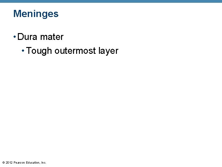 Meninges • Dura mater • Tough outermost layer © 2012 Pearson Education, Inc. 