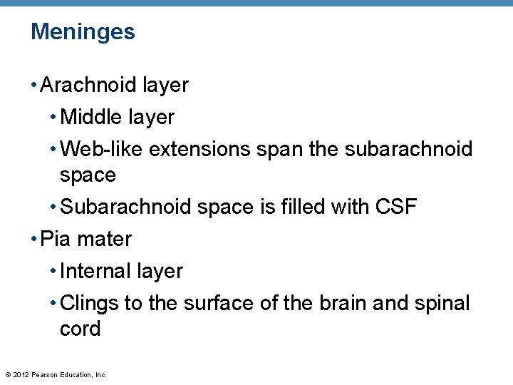 Meninges • Arachnoid layer • Middle layer • Web-like extensions span the subarachnoid space