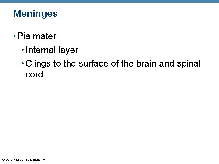 Meninges • Pia mater • Internal layer • Clings to the surface of the