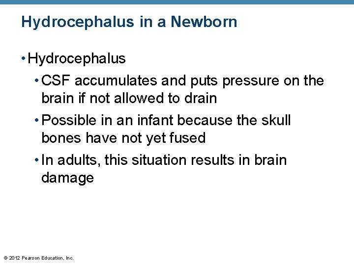 Hydrocephalus in a Newborn • Hydrocephalus • CSF accumulates and puts pressure on the
