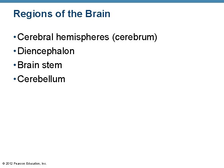 Regions of the Brain • Cerebral hemispheres (cerebrum) • Diencephalon • Brain stem •