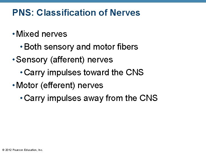 PNS: Classification of Nerves • Mixed nerves • Both sensory and motor fibers •
