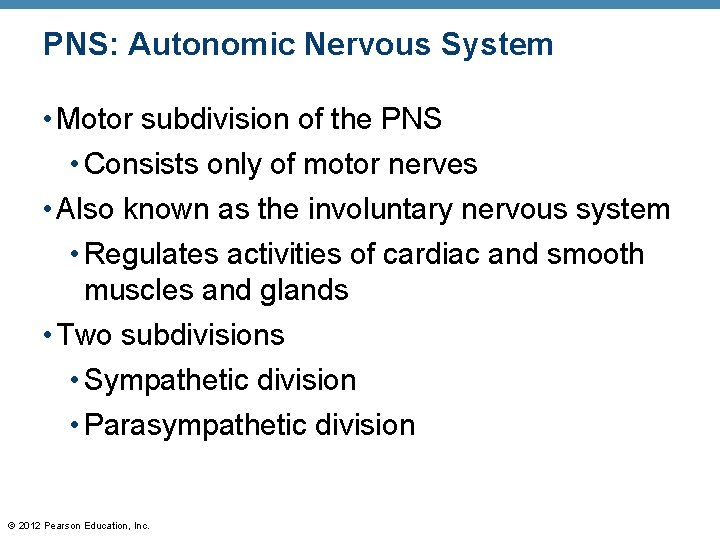 PNS: Autonomic Nervous System • Motor subdivision of the PNS • Consists only of