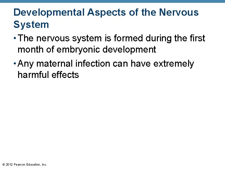 Developmental Aspects of the Nervous System • The nervous system is formed during the
