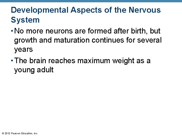 Developmental Aspects of the Nervous System • No more neurons are formed after birth,