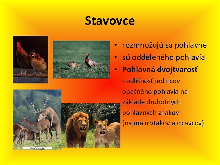 Stavovce • rozmnožujú sa pohlavne • sú oddeleného pohlavia • Pohlavná dvojtvarosť - odlišnosť