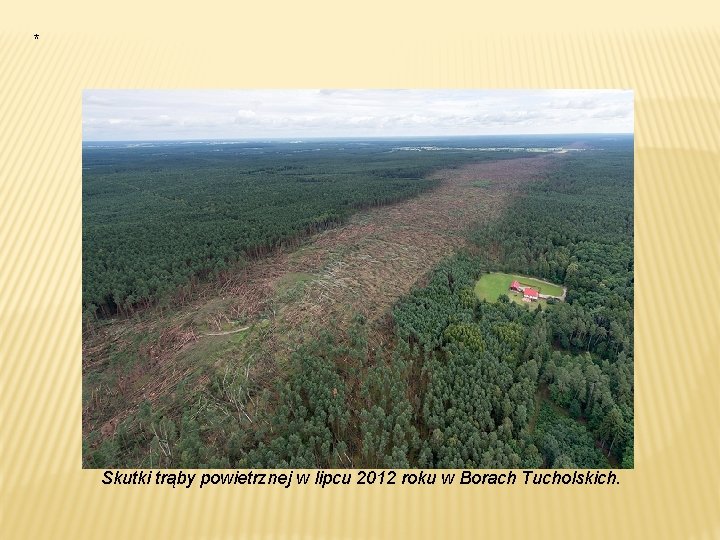 * Skutki trąby powietrznej w lipcu 2012 roku w Borach Tucholskich. * Skutki trąby powietrznej w lipcu 2012 roku w Borach Tucholskich.
