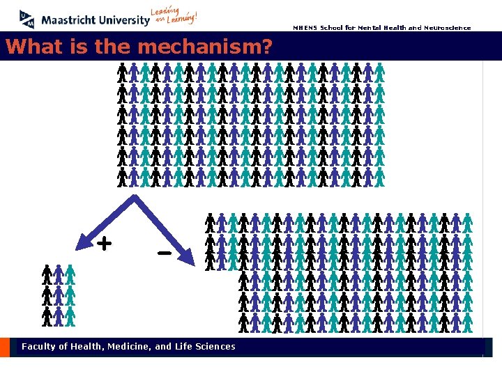 MHENS School for Mental Health and Neuroscience What is the mechanism? + – Faculty