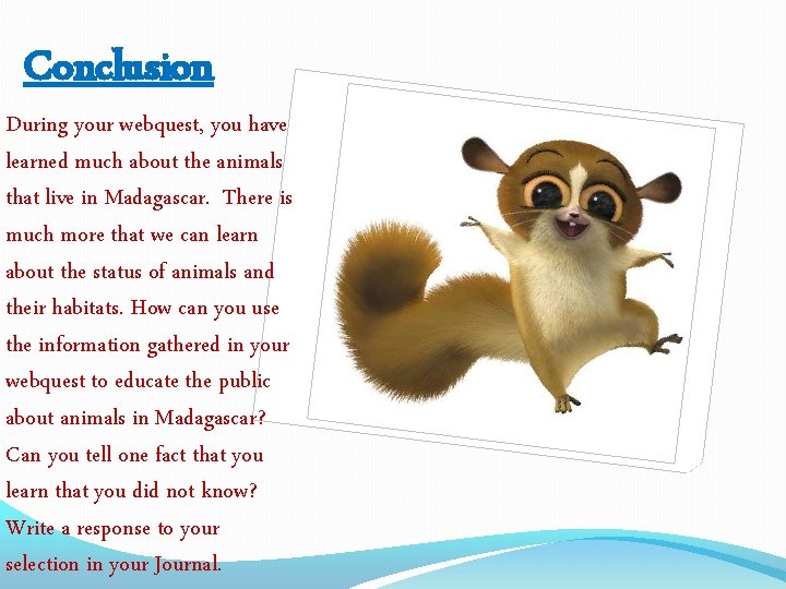 Conclusion During your webquest, you have learned much about the animals that live in
