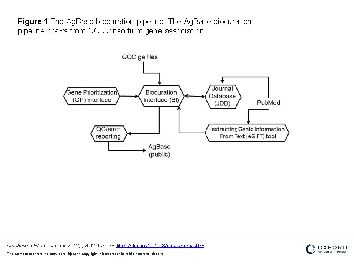 Figure 1 The Ag. Base biocuration pipeline draws from GO Consortium gene association. .