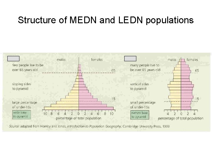 Structure of MEDN and LEDN populations 