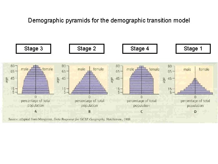 Demographic pyramids for the demographic transition model Stage 3 Stage 2 Stage 4 Stage