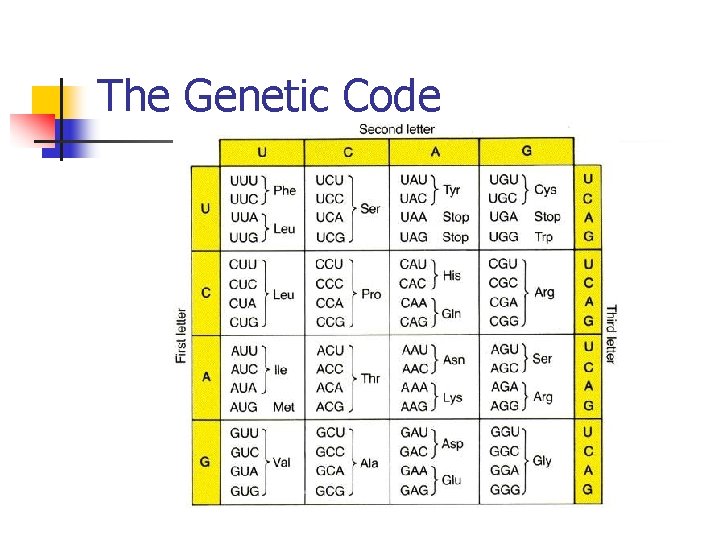 The Genetic Code 