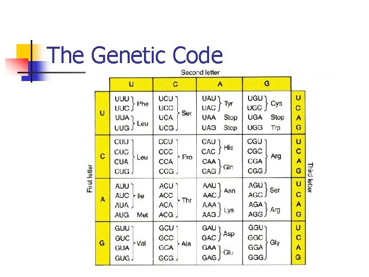 The Genetic Code 