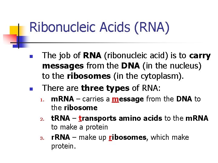 Ribonucleic Acids (RNA) n n The job of RNA (ribonucleic acid) is to carry
