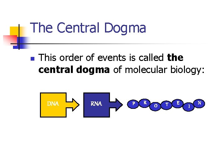 The Central Dogma n This order of events is called the central dogma of