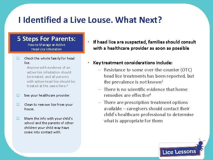 I Identified a Live Louse. What Next? 5 Steps For Parents: How to Manage