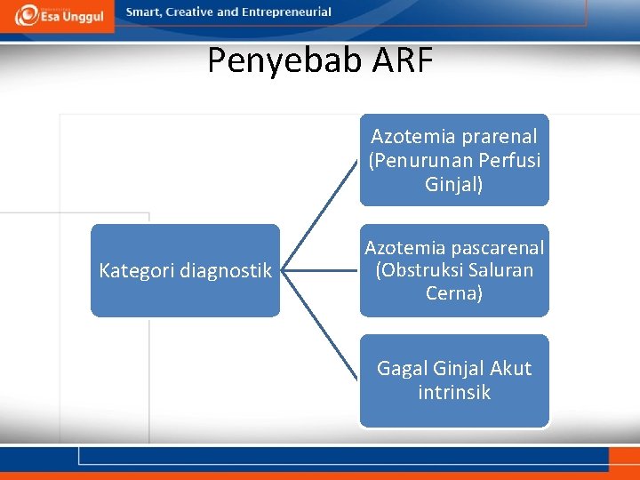 Penyebab ARF Azotemia prarenal (Penurunan Perfusi Ginjal) Kategori diagnostik Azotemia pascarenal (Obstruksi Saluran Cerna)