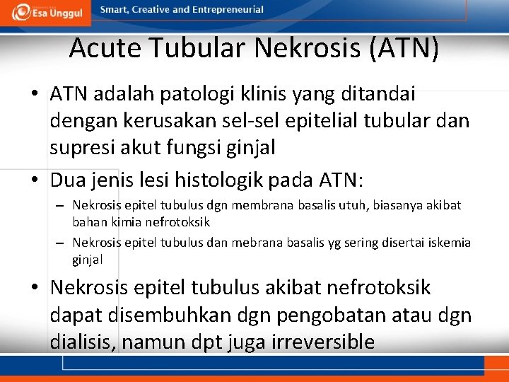 Acute Tubular Nekrosis (ATN) • ATN adalah patologi klinis yang ditandai dengan kerusakan sel-sel