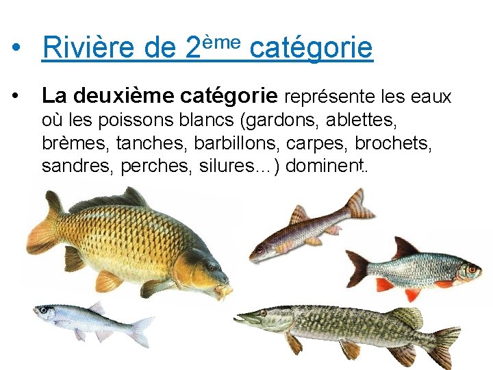  • Rivière de • ème 2 catégorie La deuxième catégorie représente les eaux