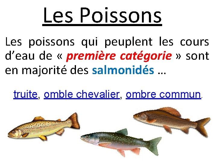 Les Poissons Les poissons qui peuplent les cours d’eau de « première catégorie » Les Poissons Les poissons qui peuplent les cours d’eau de « première catégorie »