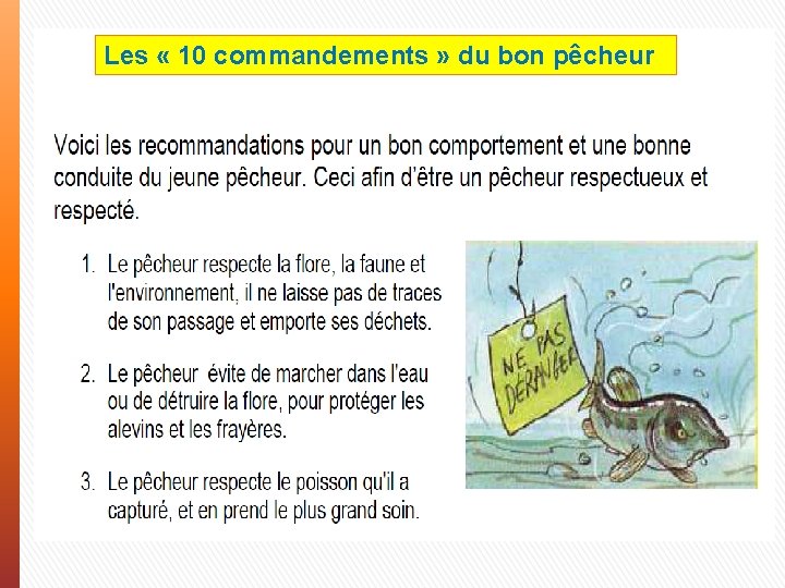 Les « 10 commandements » du bon pêcheur 
