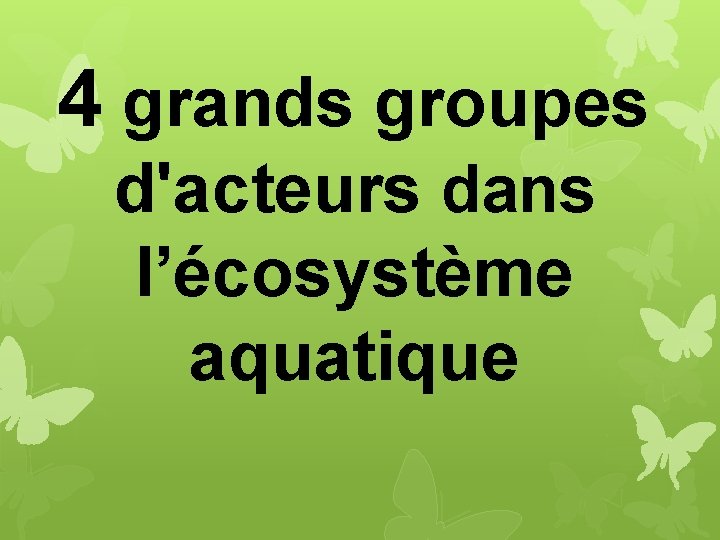4 grands groupes d'acteurs dans l’écosystème aquatique 