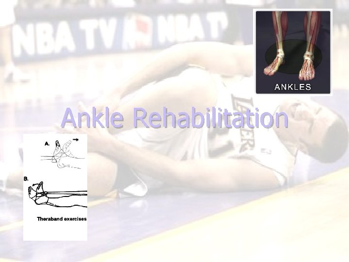 Ankle Rehabilitation 