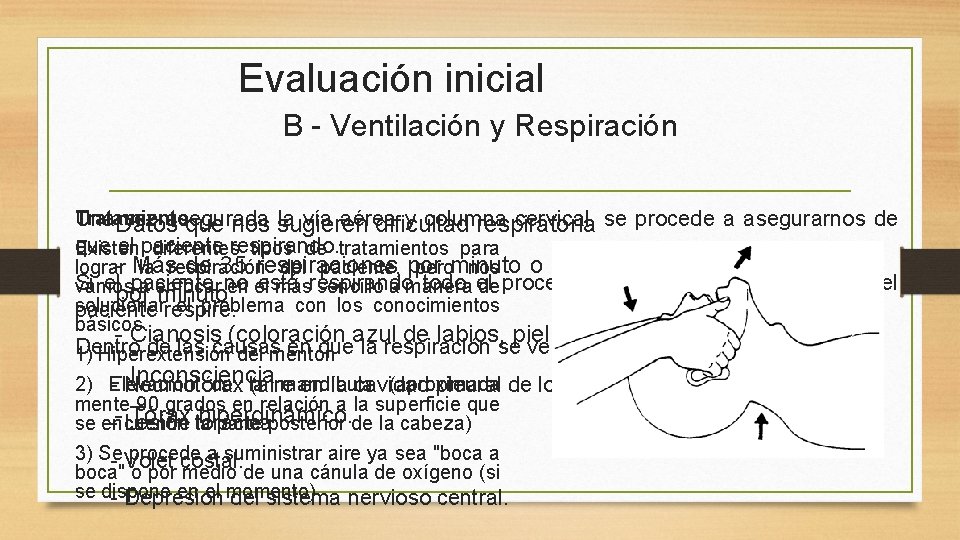 Evaluación inicial B - Ventilación y Respiración Tratamiento Una. Datos vez asegurada la vía Evaluación inicial B - Ventilación y Respiración Tratamiento Una. Datos vez asegurada la vía