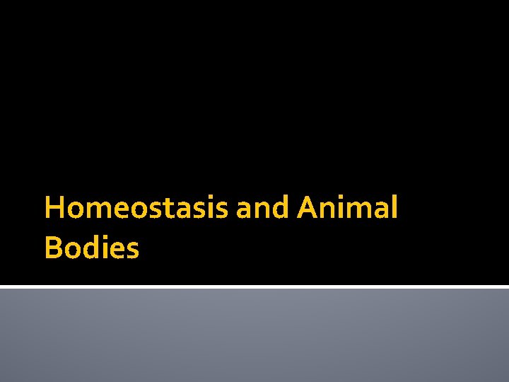 Homeostasis and Animal Bodies 