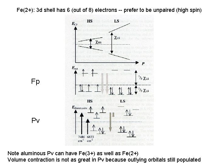 Fe(2+): 3 d shell has 6 (out of 8) electrons -- prefer to be