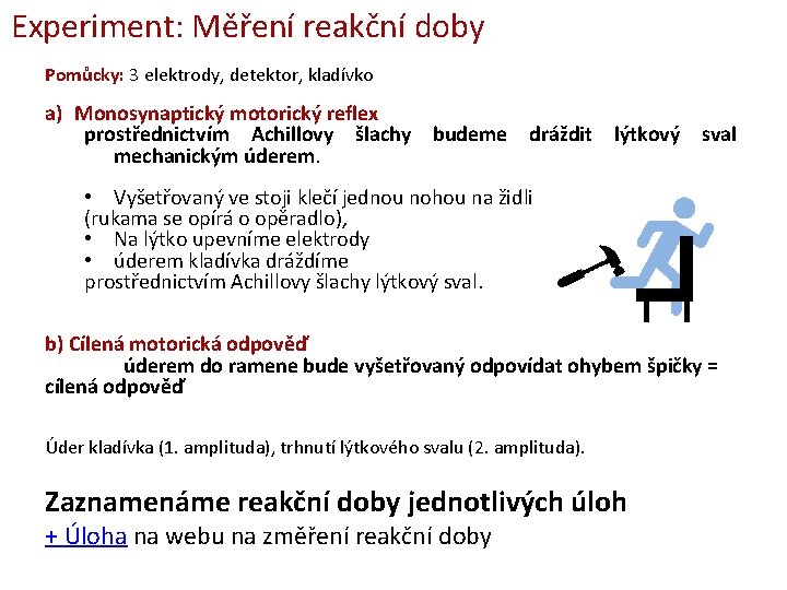 Experiment: Měření reakční doby Pomůcky: 3 elektrody, detektor, kladívko a) Monosynaptický motorický reflex prostřednictvím