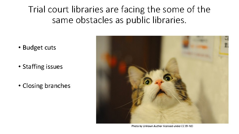 Trial court libraries are facing the some of the same obstacles as public libraries.