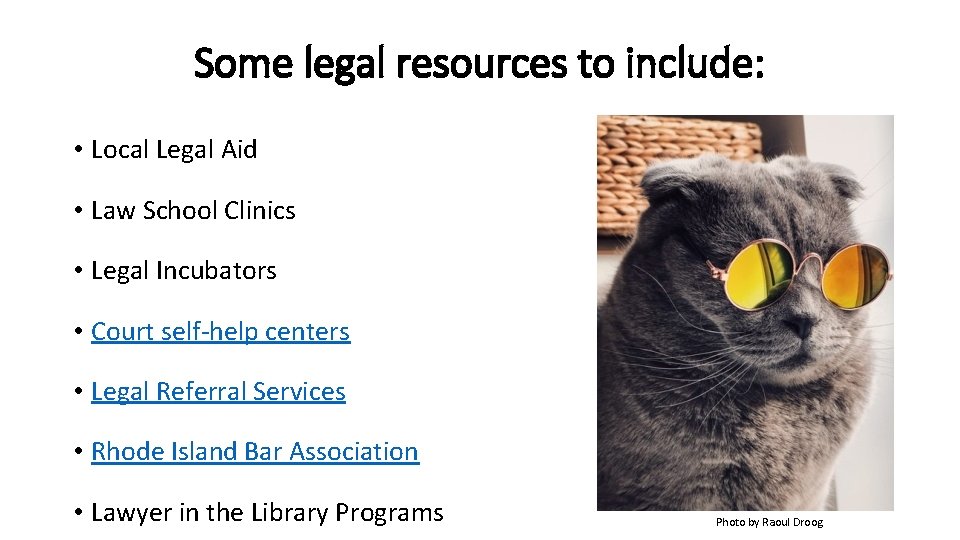 Some legal resources to include: • Local Legal Aid • Law School Clinics •