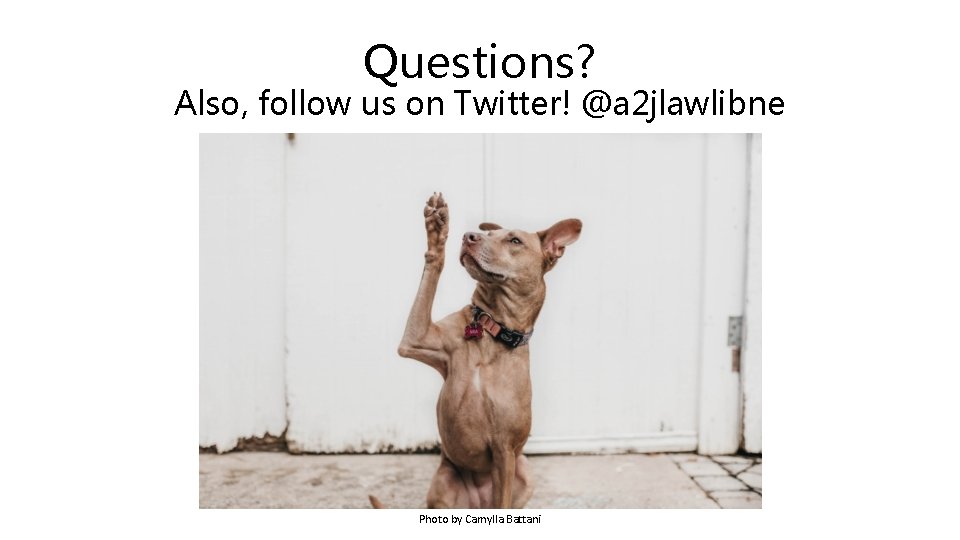 Questions? Also, follow us on Twitter! @a 2 jlawlibne Photo by Camylla Battani 