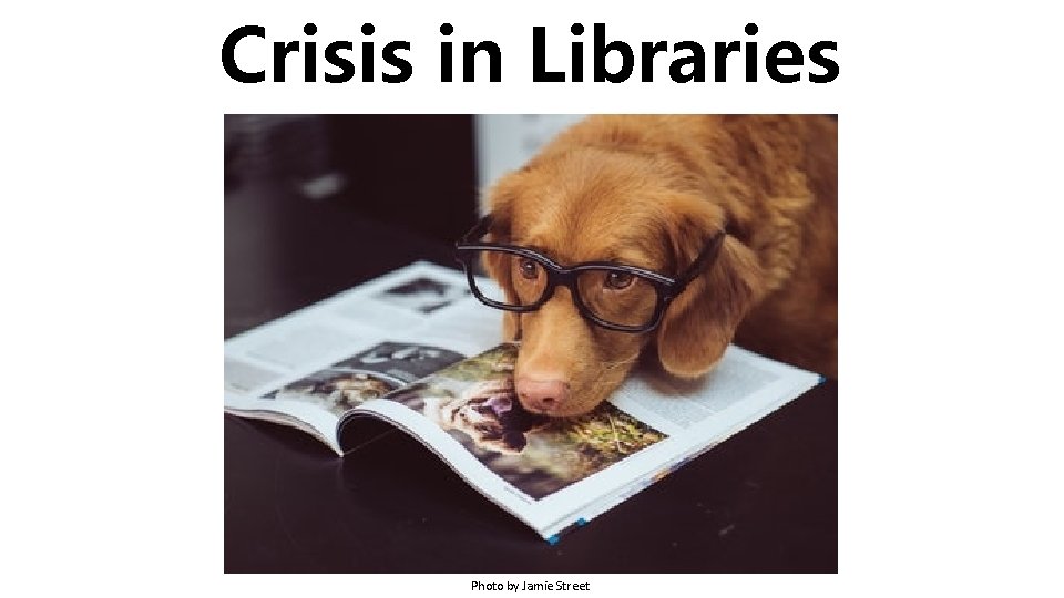Crisis in Libraries Photo by Jamie Street 