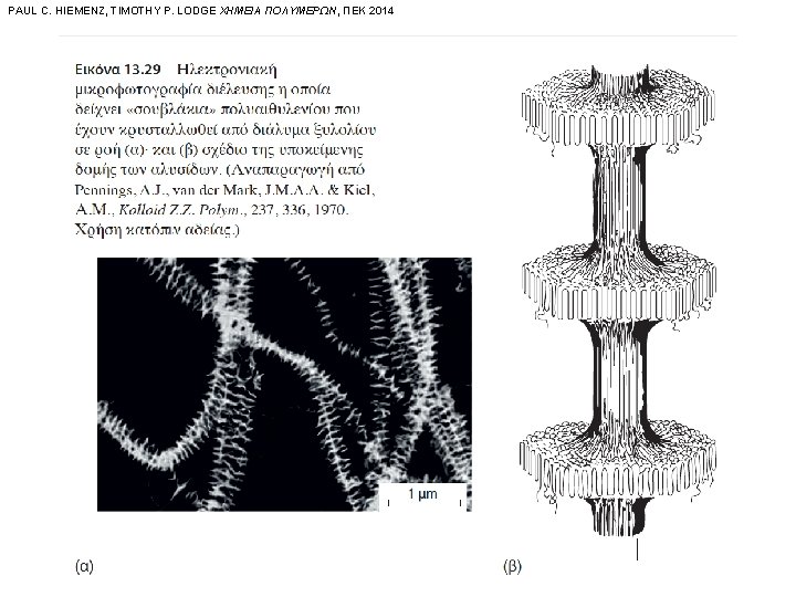 PAUL C. HIEMENZ, TIMOTHY P. LODGE ΧΗΜΕΙΑ ΠΟΛΥΜΕΡΩΝ, ΠΕΚ 2014 