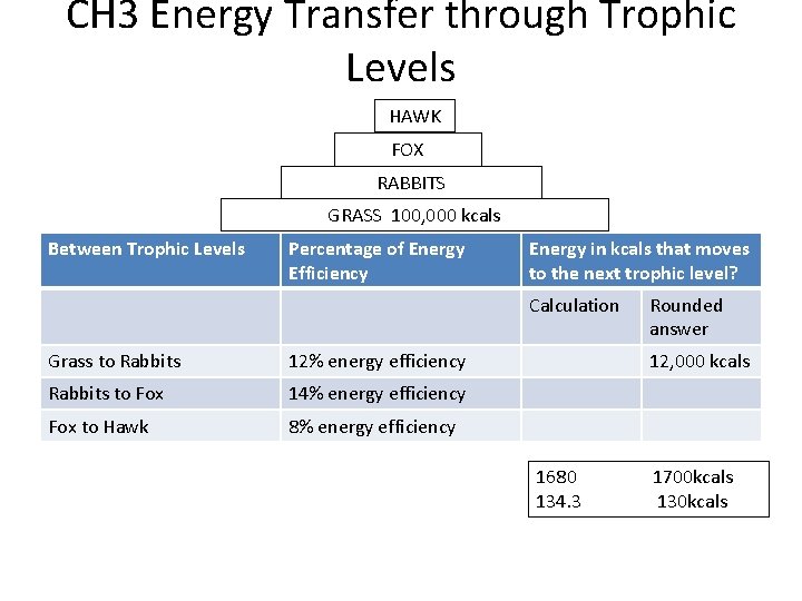 CH 3 Energy Transfer through Trophic Levels HAWK FOX RABBITS GRASS 100, 000 kcals