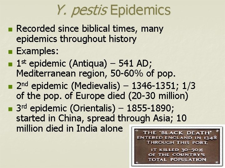 Y. pestis Epidemics n n n Recorded since biblical times, many epidemics throughout history