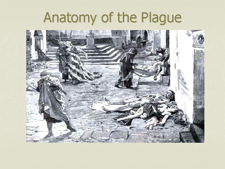 Anatomy of the Plague 