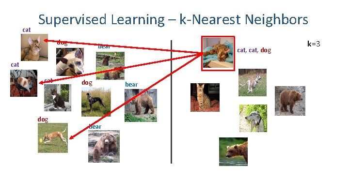 cat Supervised Learning – k-Nearest Neighbors dog bear cat, dog k=3 cat dog bear