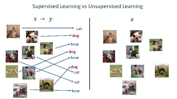 Supervised Learning vs Unsupervised Learning cat dog bear dog cat bear 