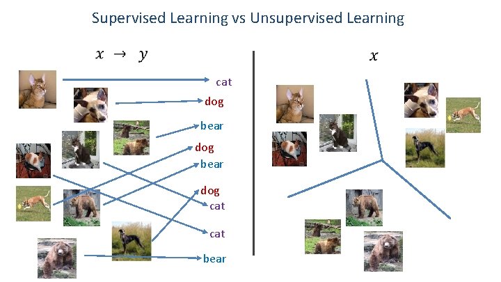 Supervised Learning vs Unsupervised Learning cat dog bear dog cat bear 