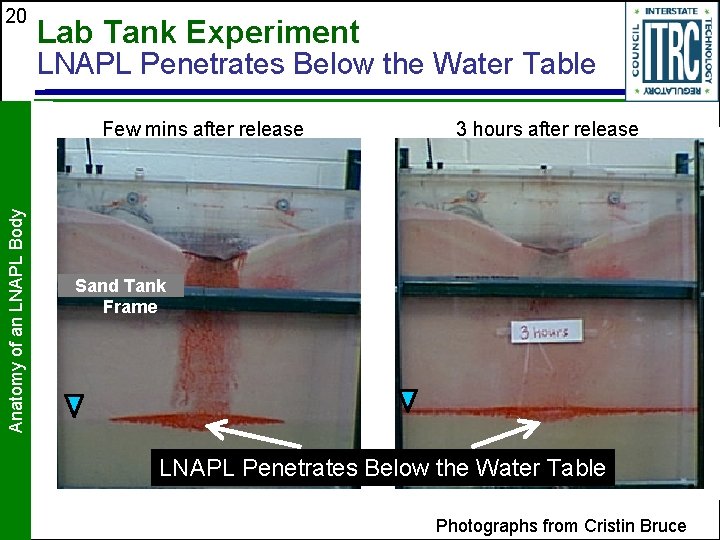 20 Lab Tank Experiment LNAPL Penetrates Below the Water Table Anatomy of an LNAPL