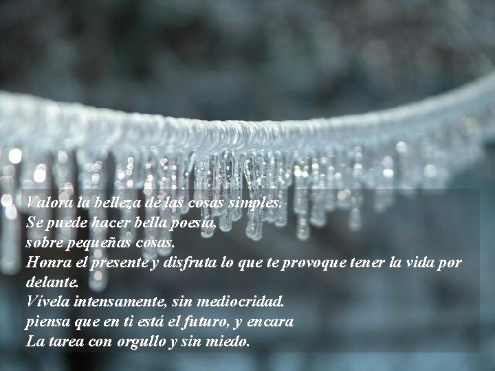 Valora la belleza de las cosas simples. Se puede hacer bella poesía, sobre pequeñas