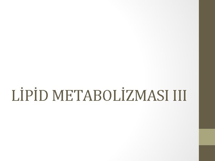 LİPİD METABOLİZMASI III 