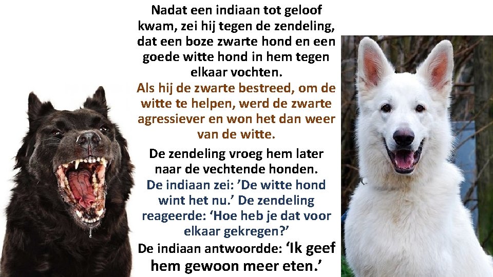 Nadat een indiaan tot geloof kwam, zei hij tegen de zendeling, dat een boze Nadat een indiaan tot geloof kwam, zei hij tegen de zendeling, dat een boze