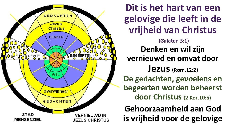 Dit is het hart van een gelovige die leeft in de vrijheid van Christus