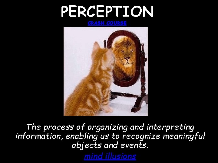 PERCEPTION CRASH COURSE The process of organizing and
