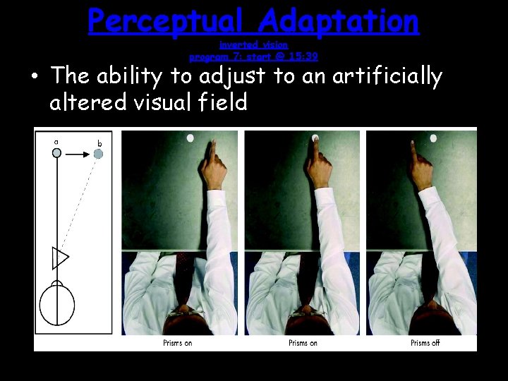Perceptual Adaptation inverted vision program 7: start @ 15: 39 • The ability to